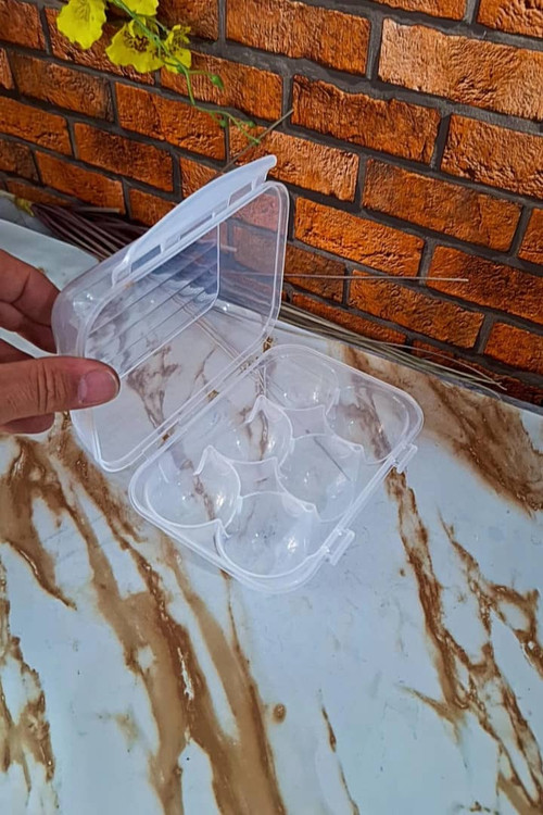 جاتخم مرغی 6 خانه