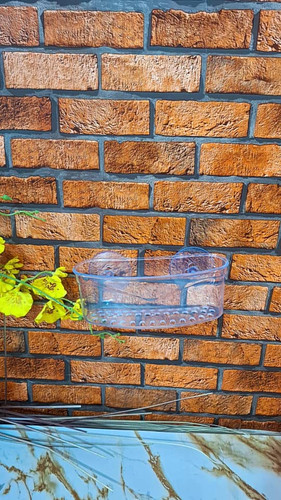 جا اسکاچی باران