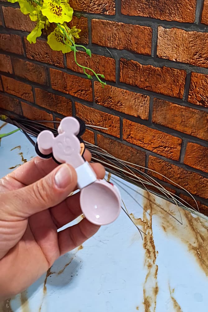 قاشق ادویه میکی موس