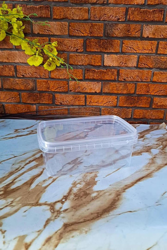 ظرف فریزری و ماکروفری شفاف