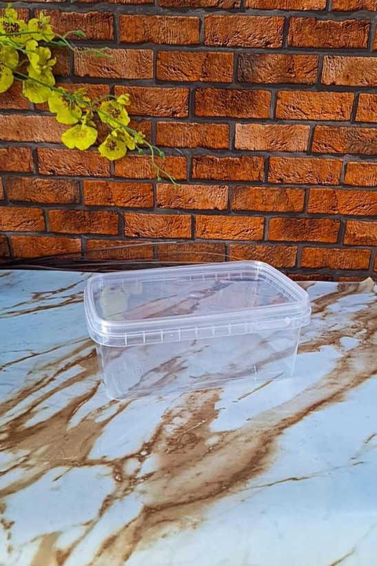 ظرف فریزری و ماکروفری شفاف