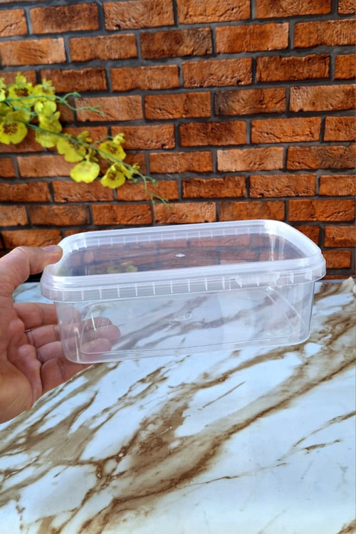 ظرف فریزری و ماکروفری